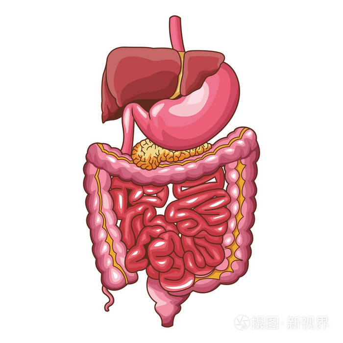 医学动画图片_医学动画制作软件_三维医学动画