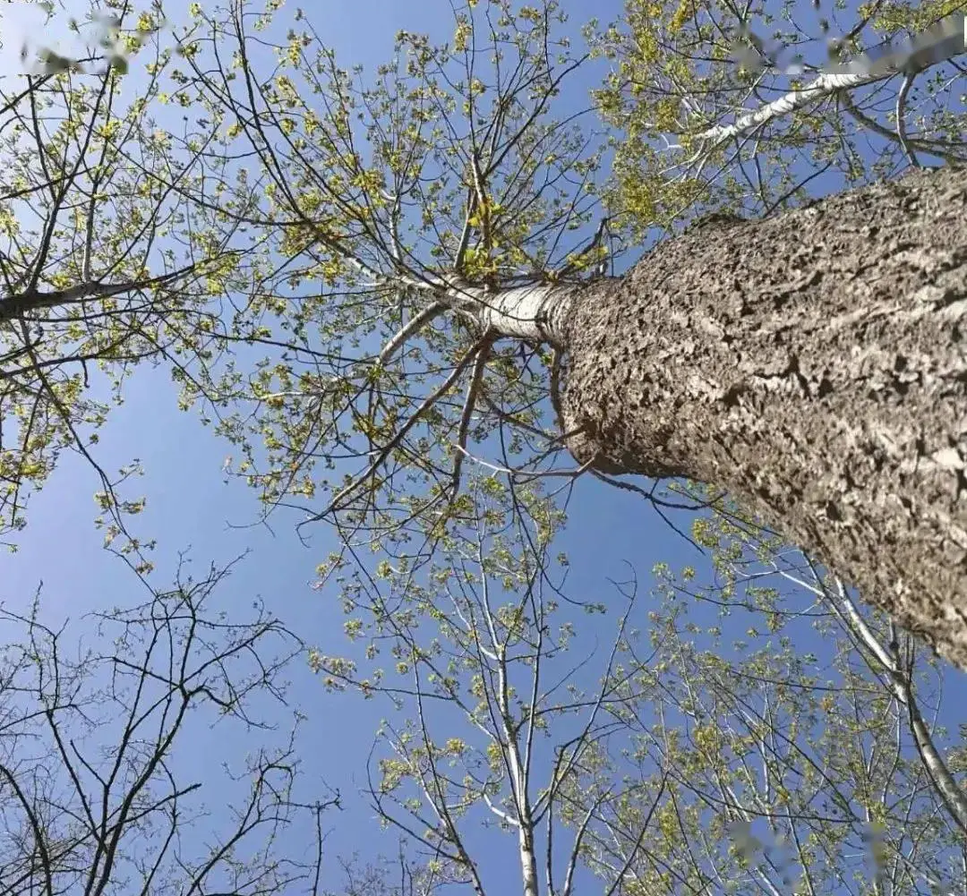 接新娘玩游戏整人方法_接新娘玩的游戏_接新娘玩兄弟游戏