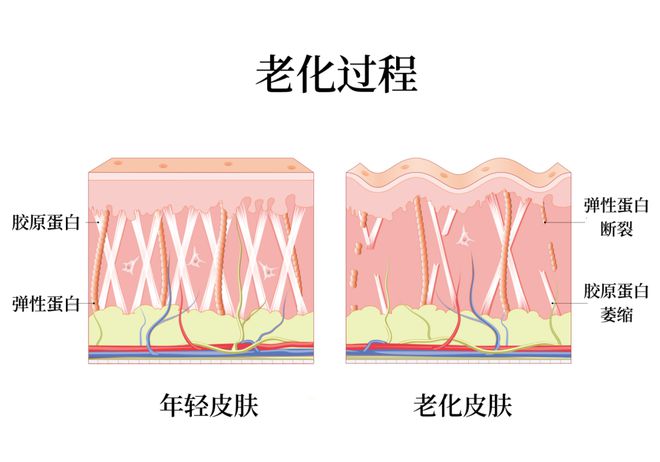 收获日2干扰器干嘛用_干扰器教程_干扰器干嘛用的