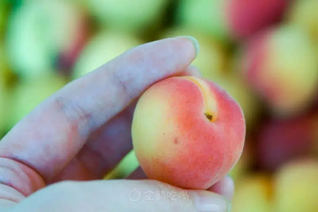 雨林木风怎么安装系统_雨林风木系统安装步骤_雨林木风怎么装系统