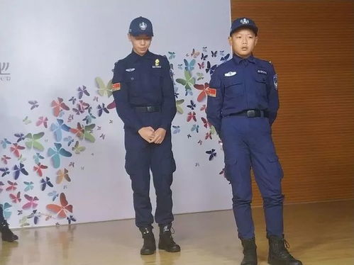 表演游戏警察,体验正义与挑战的虚拟世界